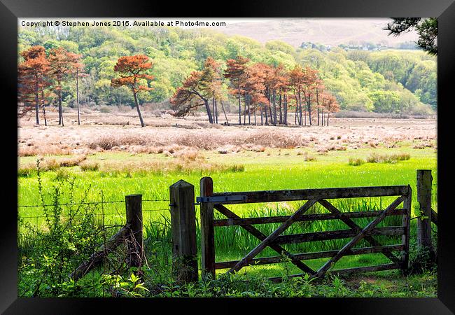  Salt marsh meadow Framed Print by Stephen Jones