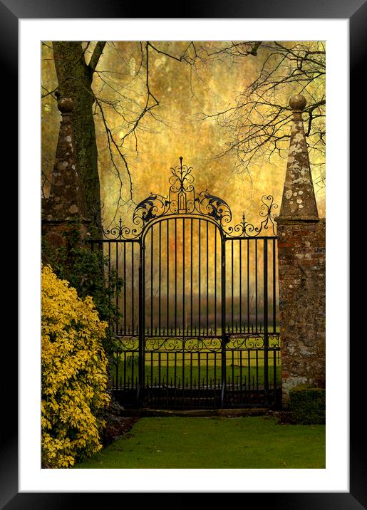  Iron Gate Framed Mounted Print by Svetlana Sewell