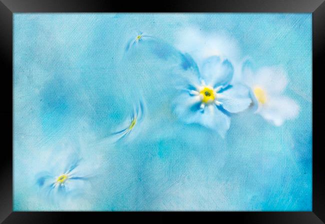  Splash of blue Framed Print by Svetlana Sewell