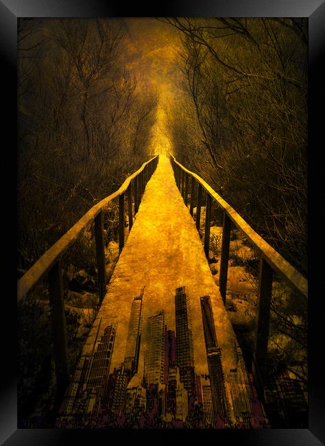  Mystery Path Framed Print by Svetlana Sewell