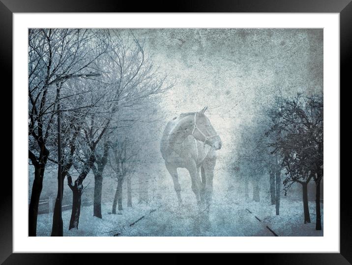  Spirit Framed Mounted Print by Svetlana Sewell