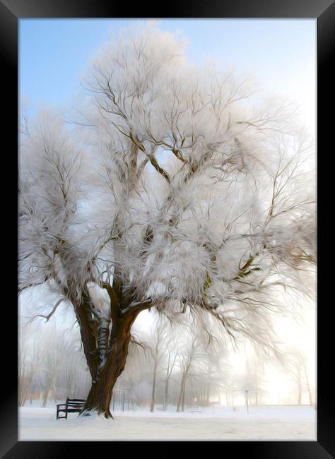  Winter Tree Framed Print by Svetlana Sewell