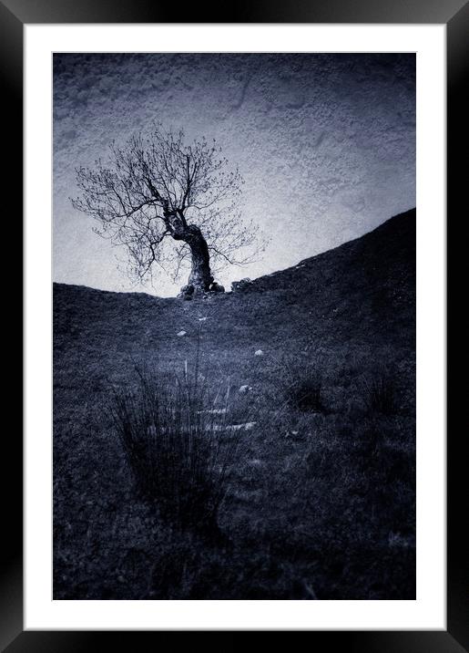  Mystery Tree Framed Mounted Print by Svetlana Sewell