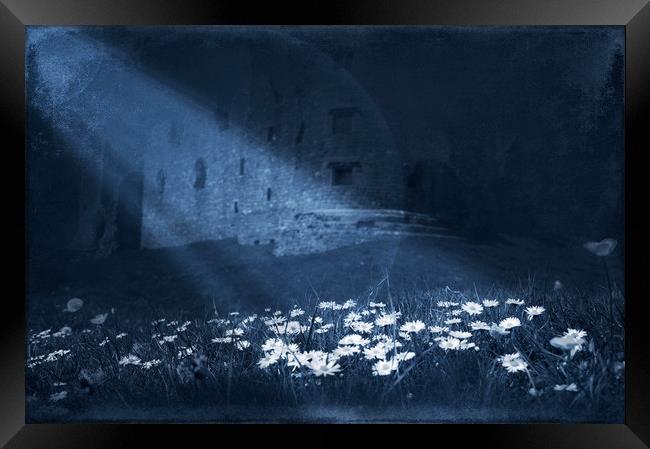  Under the moon light Framed Print by Svetlana Sewell