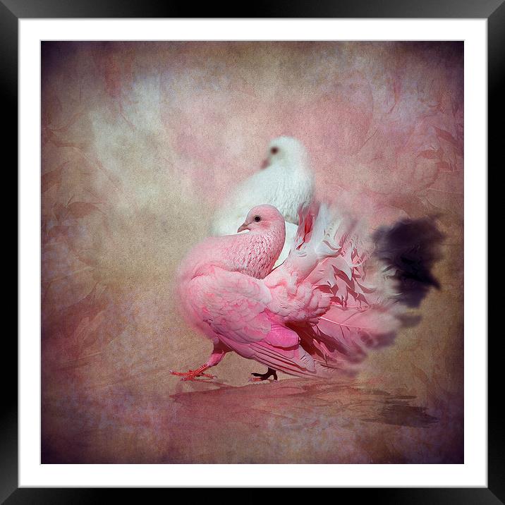  Strolling proud Framed Mounted Print by Svetlana Sewell