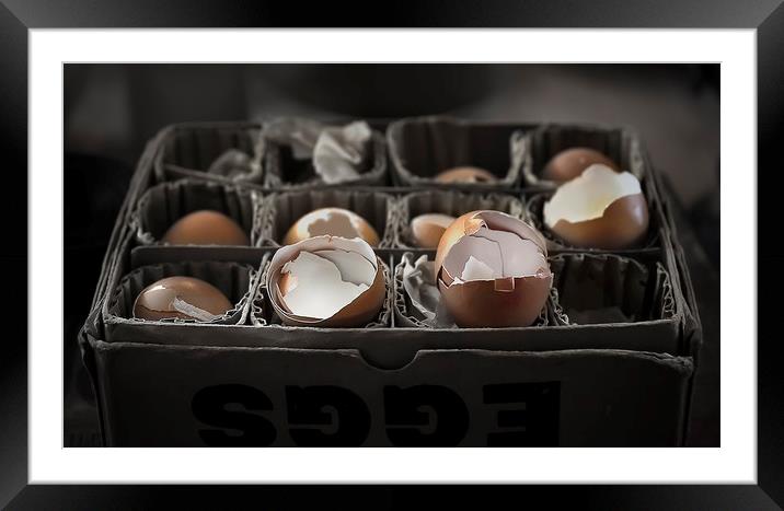 Egg shells Framed Mounted Print by Svetlana Sewell
