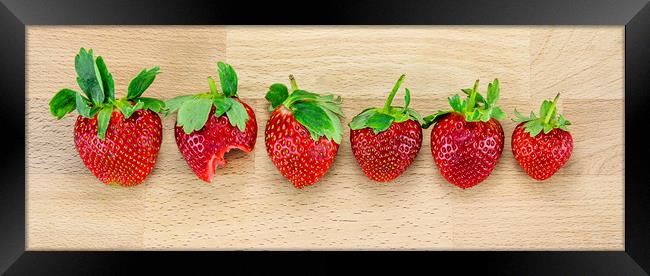  For strawberries lovers Framed Print by Svetlana Sewell