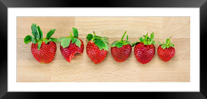  For strawberries lovers Framed Mounted Print by Svetlana Sewell