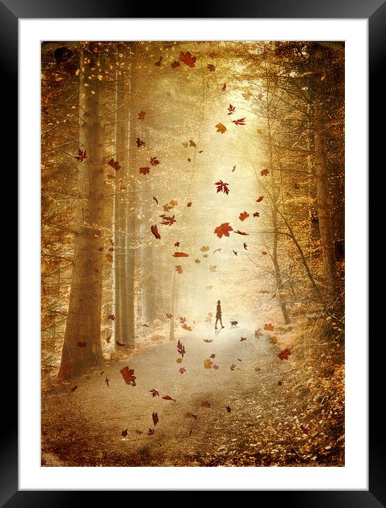  Autumn stroll Framed Mounted Print by Svetlana Sewell