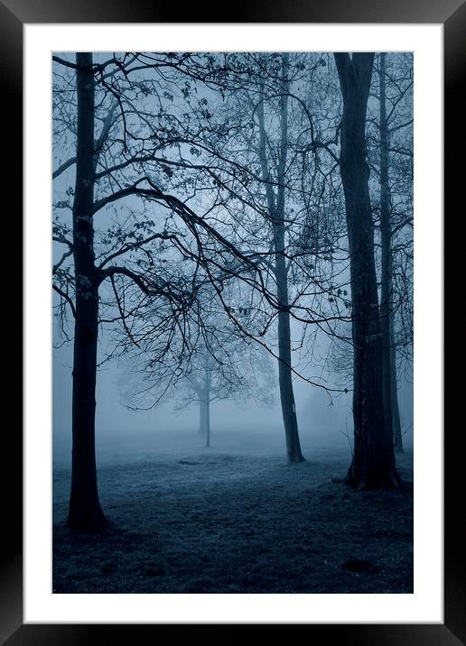  Blue Mist Framed Mounted Print by Svetlana Sewell