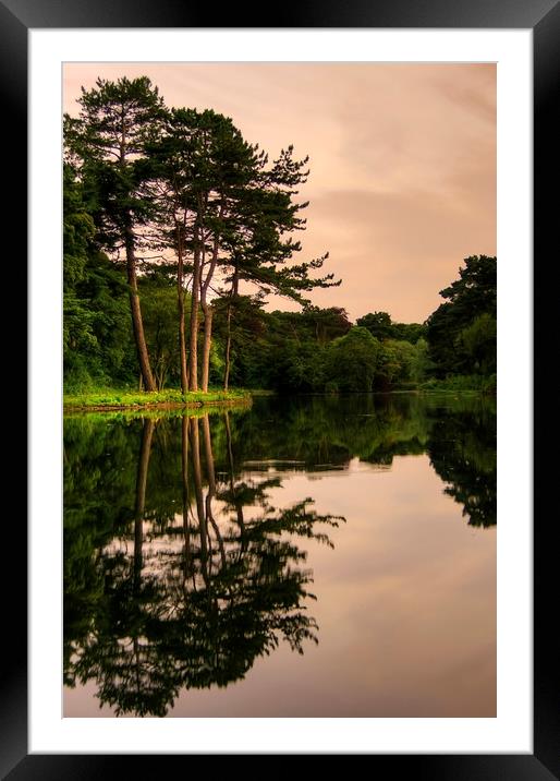  Evening Reflections Framed Mounted Print by Svetlana Sewell