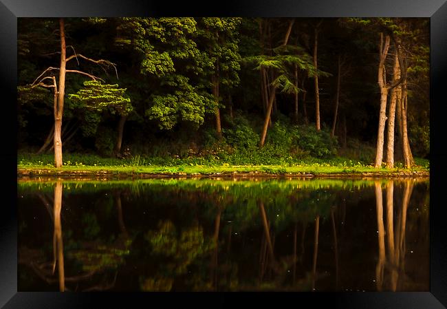  On the Other Side Framed Print by Svetlana Sewell