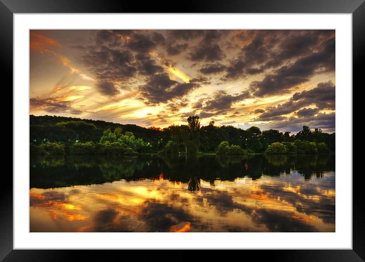  Splash of Gold Framed Mounted Print by Svetlana Sewell