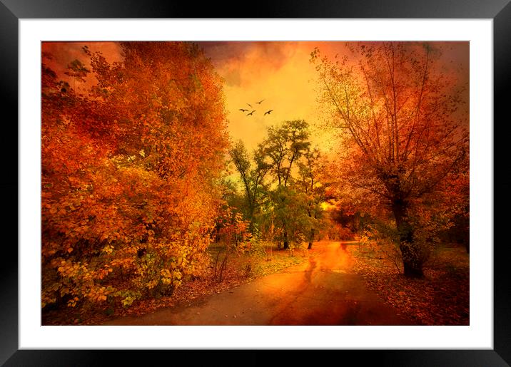  In a Park Framed Mounted Print by Svetlana Sewell
