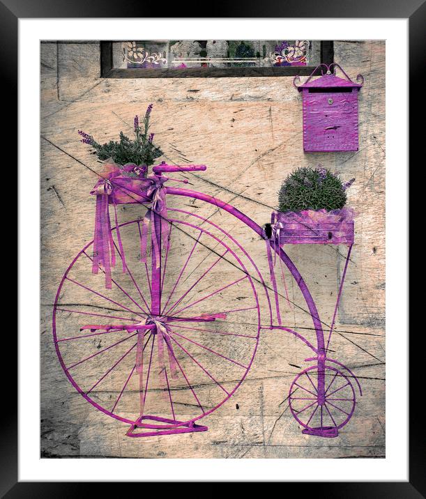  Lavender Bicycle  Framed Mounted Print by Svetlana Sewell