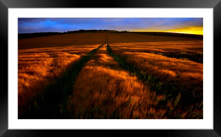 Sunset at Field Framed Mounted Print by Svetlana Sewell