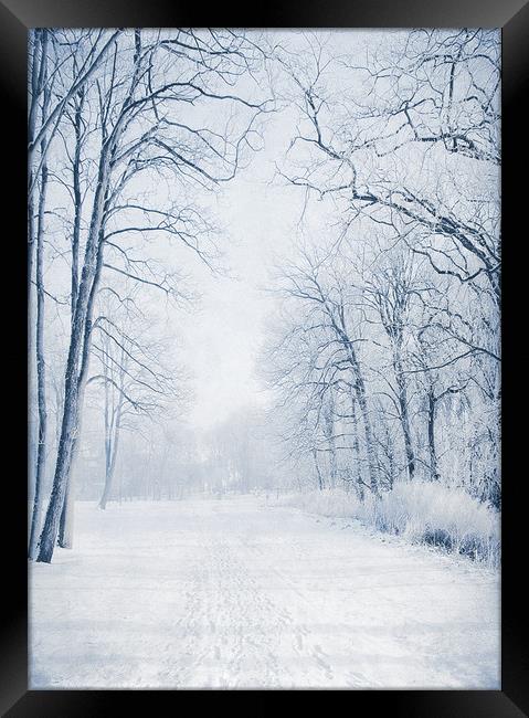  Winter Path Framed Print by Svetlana Sewell