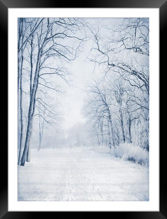  Winter Path Framed Mounted Print by Svetlana Sewell