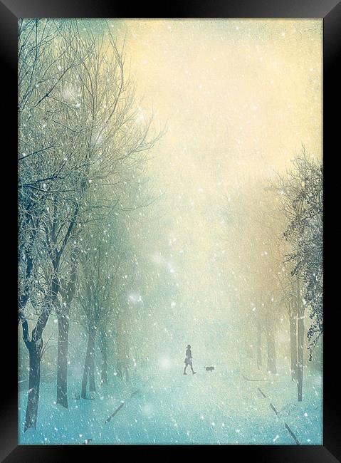 Winter Stroll Framed Print by Svetlana Sewell
