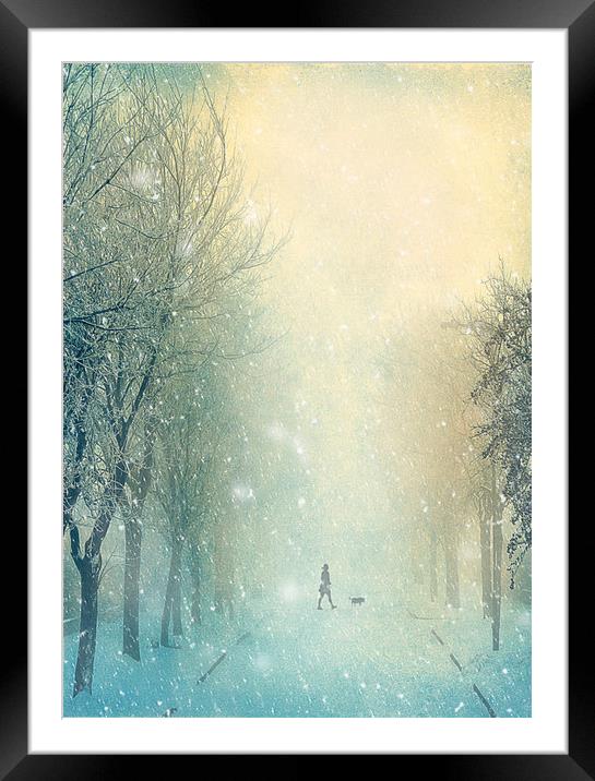 Winter Stroll Framed Mounted Print by Svetlana Sewell