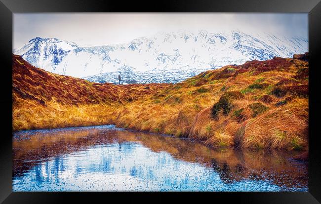 In a Distance Framed Print by Svetlana Sewell