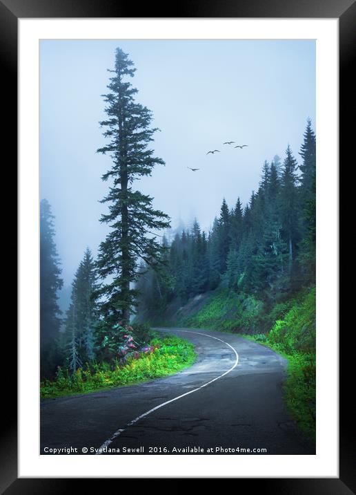 Into the Fog Framed Mounted Print by Svetlana Sewell