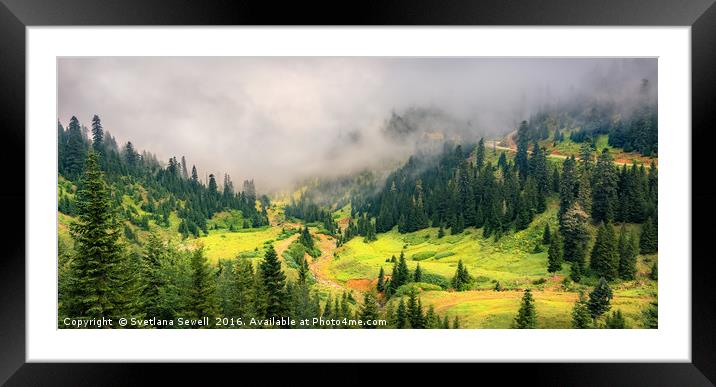 Sunny Valley Framed Mounted Print by Svetlana Sewell