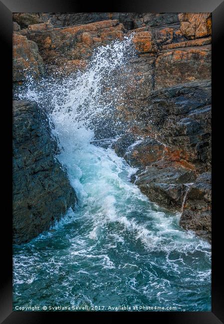 Sea Splash Framed Print by Svetlana Sewell