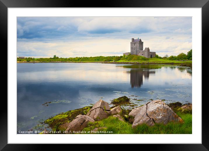 Dunguaire Castle  Framed Mounted Print by Svetlana Sewell