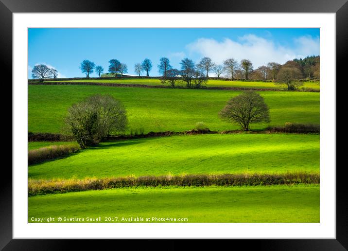Fields of Devon Framed Mounted Print by Svetlana Sewell