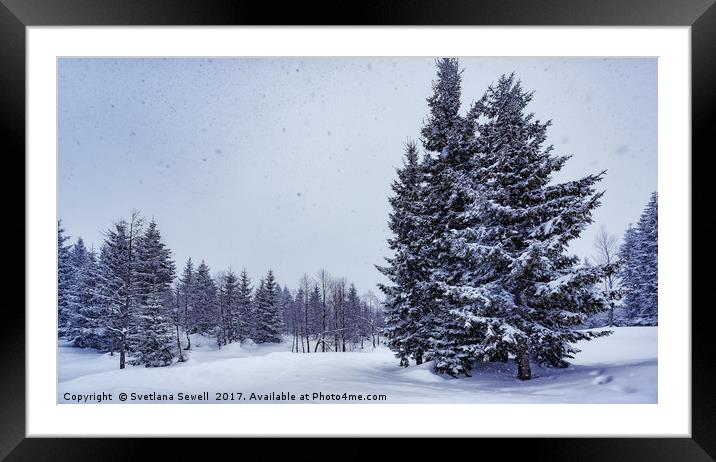 Snow is Falling  Framed Mounted Print by Svetlana Sewell