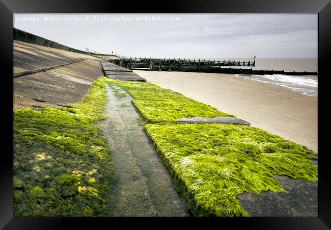 Mossy Pier Framed Print by Svetlana Sewell