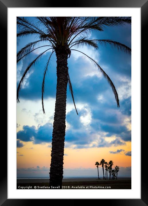Palms on a Beach Framed Mounted Print by Svetlana Sewell