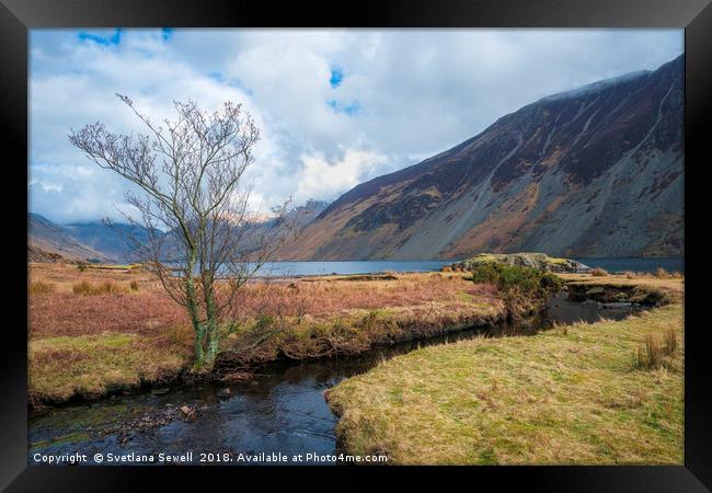 Beside a River Framed Print by Svetlana Sewell