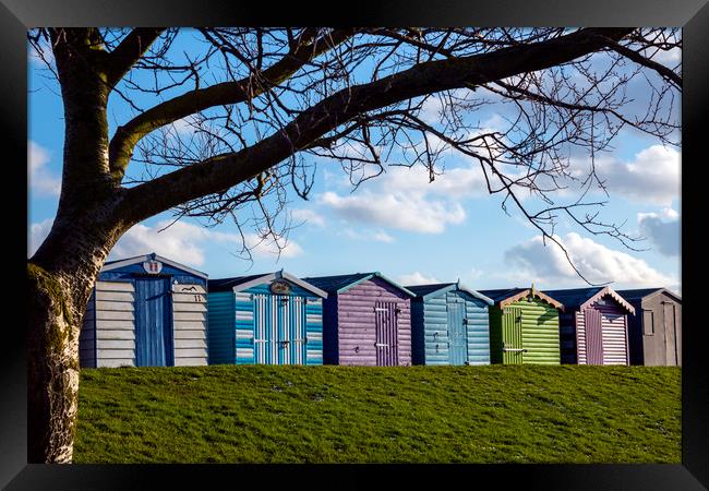 Beach Huts Framed Print by Svetlana Sewell