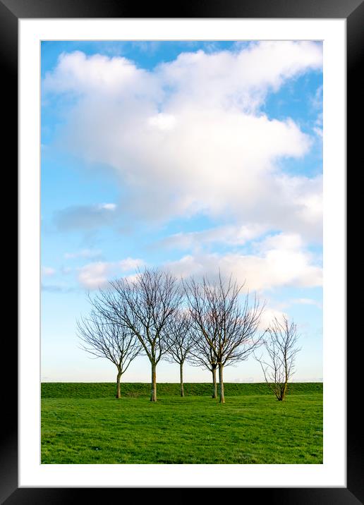 Group of Trees Framed Mounted Print by Svetlana Sewell