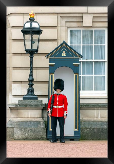 Guard to the Buckingham Palace Framed Print by Svetlana Sewell