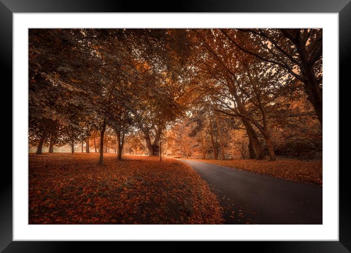 Autumn Colours Framed Mounted Print by Svetlana Sewell