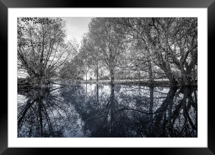 Reflections of Trees Framed Mounted Print by Svetlana Sewell