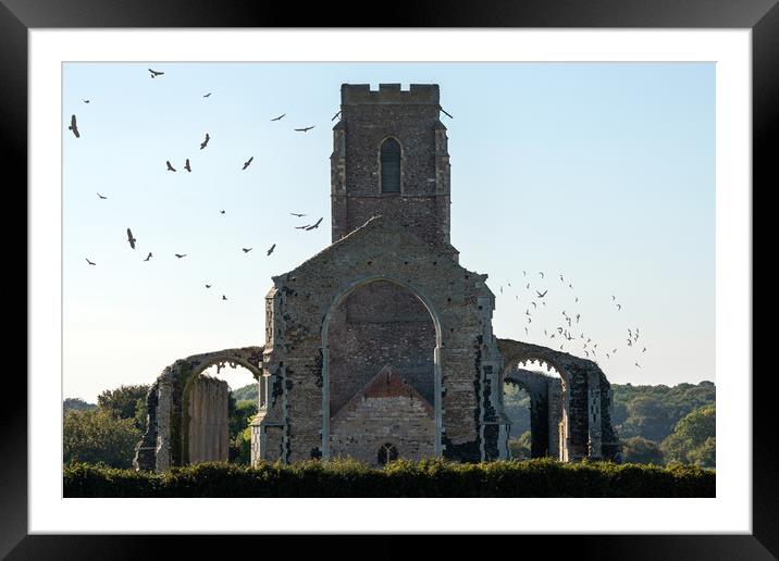 Covehithe Abbey Framed Mounted Print by Svetlana Sewell