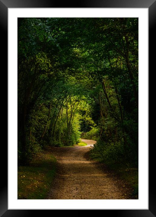 Woodland Path Framed Mounted Print by Svetlana Sewell