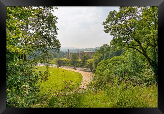 Bolton Abbey Priory Framed Print by Svetlana Sewell