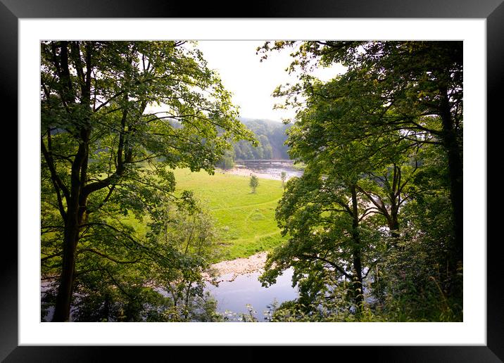 Bolton Abbey Priory Framed Mounted Print by Svetlana Sewell