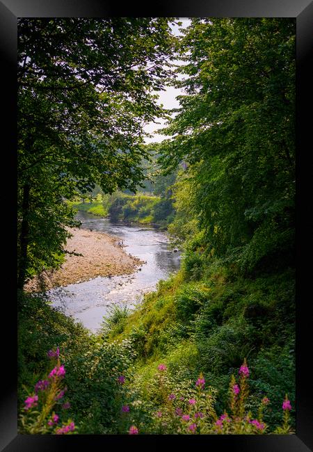 Bolton Abbey Priory Framed Print by Svetlana Sewell