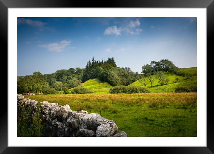 Yorkshire landscape Framed Mounted Print by Svetlana Sewell