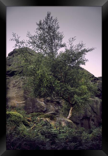 Ilkley Moor Landscape Framed Print by Svetlana Sewell