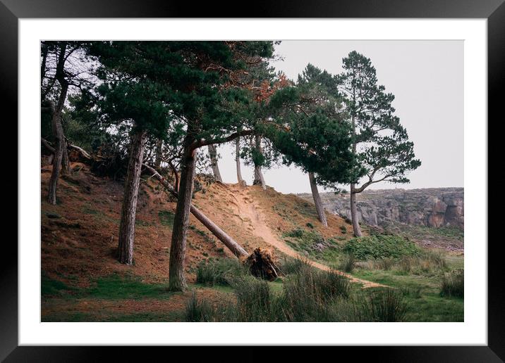 Ilkley moor Framed Mounted Print by Svetlana Sewell