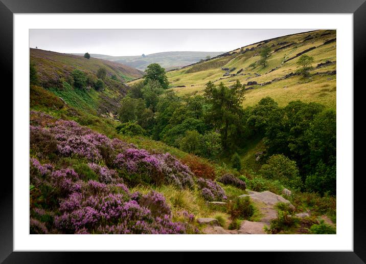 West Yorkshire Framed Mounted Print by Svetlana Sewell