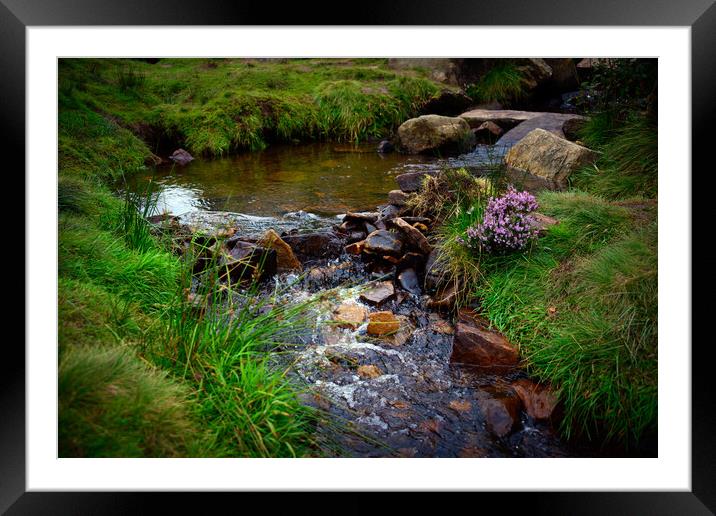 North Yorkshire moors Framed Mounted Print by Svetlana Sewell
