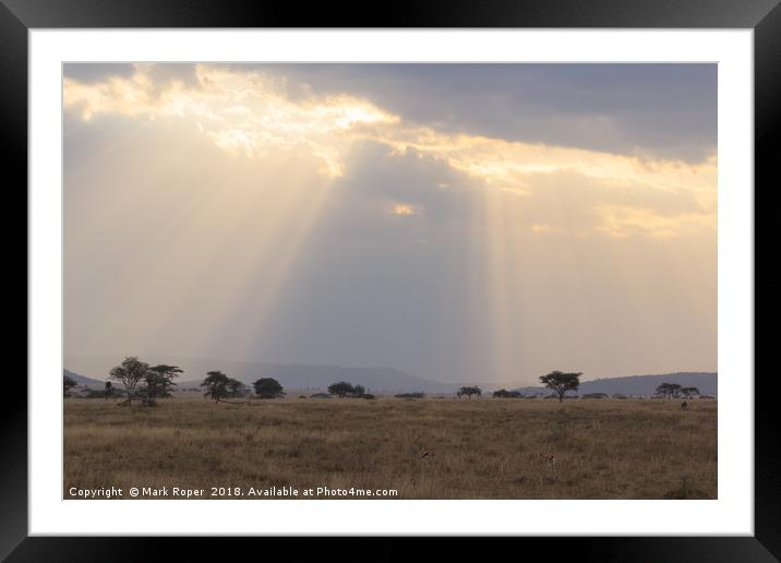 Rays of sunlight shining on the Serengeti savanna Framed Mounted Print by Mark Roper